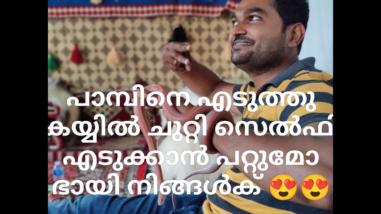 QMallus Videos| Alkubaisi Educational Reserve| Part-2| Sujithprisree 