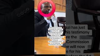 It's Healthy🤣🤣🤣🤣🌊💦#juliusmkwanazi ##madlangacommission #anc #southafrica #fyp