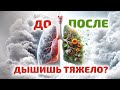 Задышал полной грудью! Лёгкие всю грязь выплюнули! И слизи в горле больше нет! Вот как это сделал!