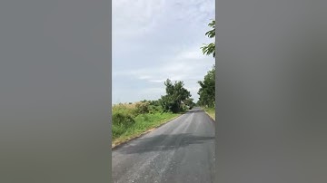 Bến phà cần giờ cần giuộc