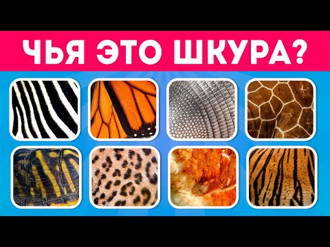Чья это шкура? Угадай животное 🦁🐯🦒🐷/ EMOJI COOL 😎