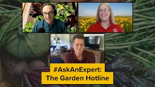 #AskAnExpert: The Garden Hotline (SciFri Live Zoom Callin)