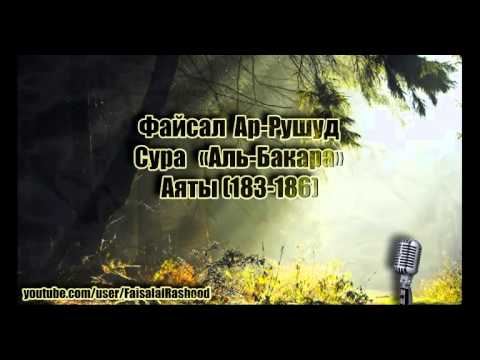 183 аят суры бакара. Файсал ар Рушуд. Аль Бакара 183-186. Сура Бакара 183-186 аяты. 2 183 Аль Бакара.