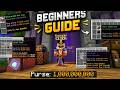 Bazaar Flipping for Beginners (Easy Coins in Hypixel Skyblock)