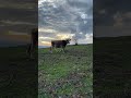 Canım et çekti 🥩
