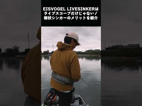 EISVOGELのLIVESINKERを徹底解説！ #釣り #青野ダム #fishing #ライブスコープ #ホバスト