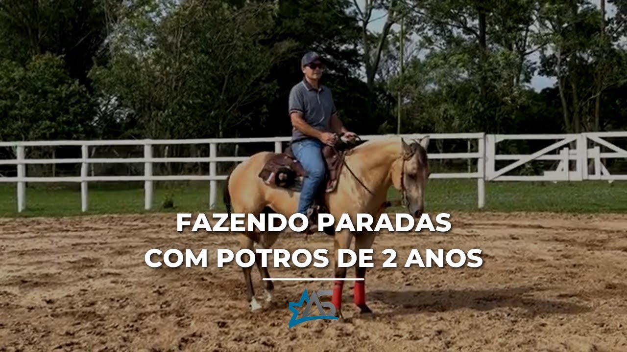 Como Iniciar as Paradas nos Potros de 2 anos?