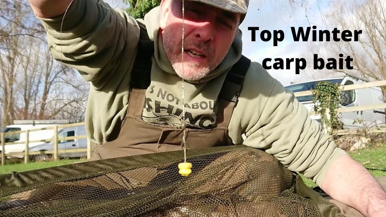 Top Winter carp bait YouTube