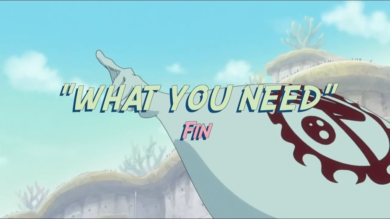 WHAT YOU NEED - FIN