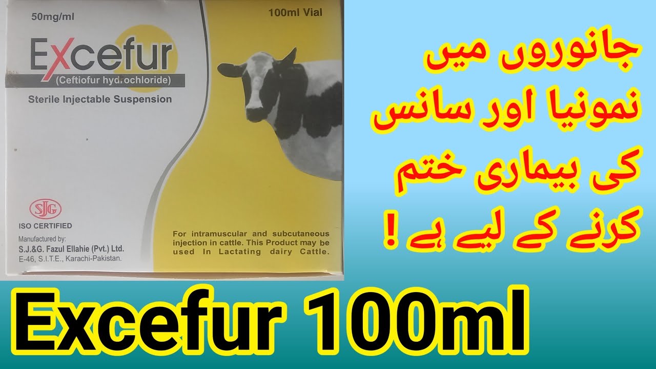 excefur injection uses in urdu || animals and pats || excefur 100ml ...