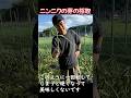 ニンニクの芽を採取するショート動画:2026年版