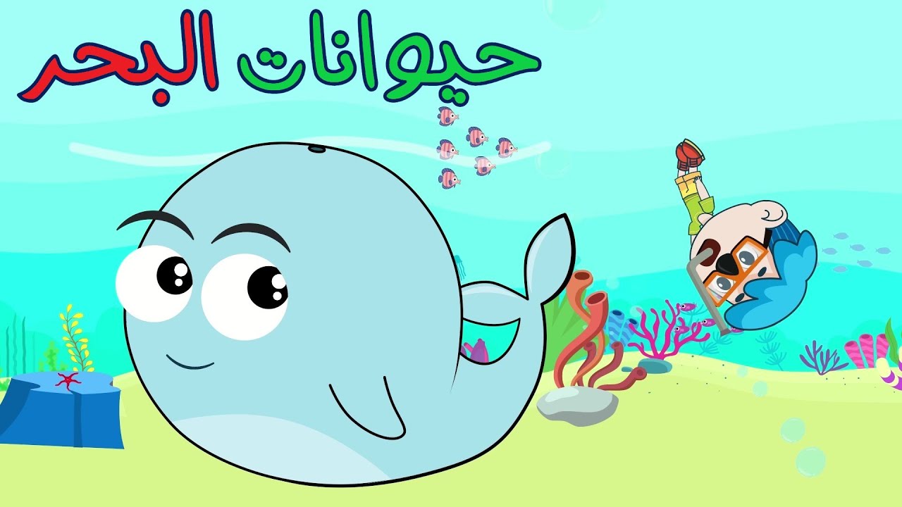 حيوانات البحر | قناة دن دن تايم - YouTube