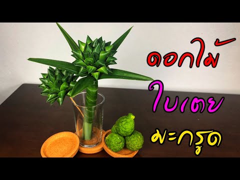 วิธีทำ ใบเตยหอมมะกรูด เป็นดอกไม้| How to pandan rose | แม่ริน School bus kids