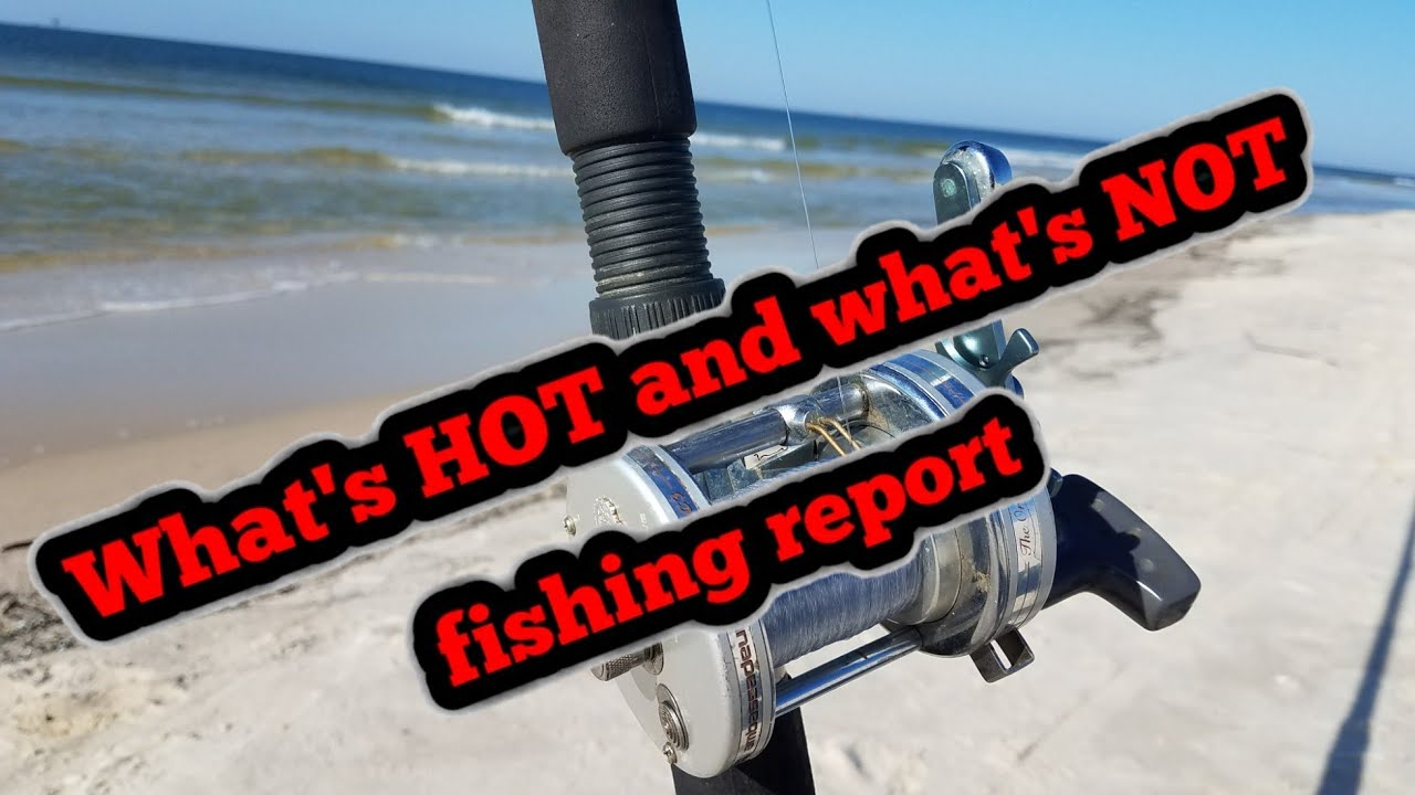 (NEW) FISHING REPORT GULF SHORES AL (EARLY MAY 2018) YouTube
