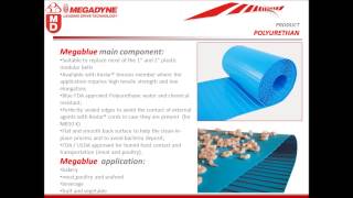 Megadyne By Caldic Techniek