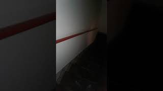 SCP-087 in real life.