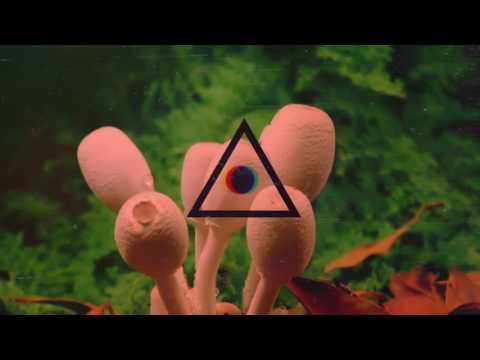 Nihil Young Less Hate Tell Your Friend