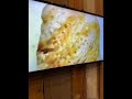 This seashell microscope was so fun to use! #fyp #shorts #travel #fulltimerv #fulltimetravel