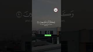 সুরা আল আম্বিয়া|سورة الانبياء|sura al ambiya|আয়াত 89-91|  islamcvideo newvideo2024 shortsvideo