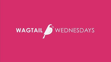 Wagtail Wednesdays #07 - How to Enable the Wagtail Styleguide