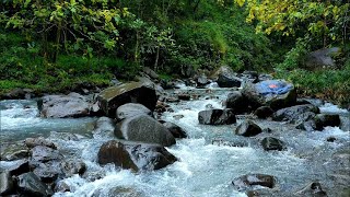 Relaxing River Ambience for Sleep | Gentle Waterfall Sounds for Anxiety, Healing &amp; Deep Focus