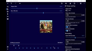 Chronotron: Formant Preservation