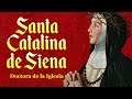 Video de Santa Catarina