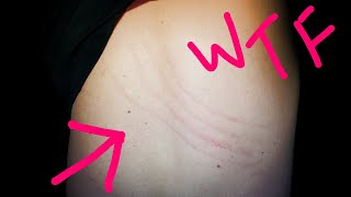 3 Am Challenge The Haunted Witches Circle My Friend Was Attacked Youtube