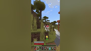 INSANE MINECRAFT HACKS YOU WON