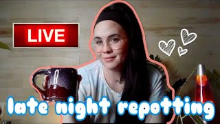 Late night LIVE houseplant repotting 🌿 Lets do some plant chores tonight!