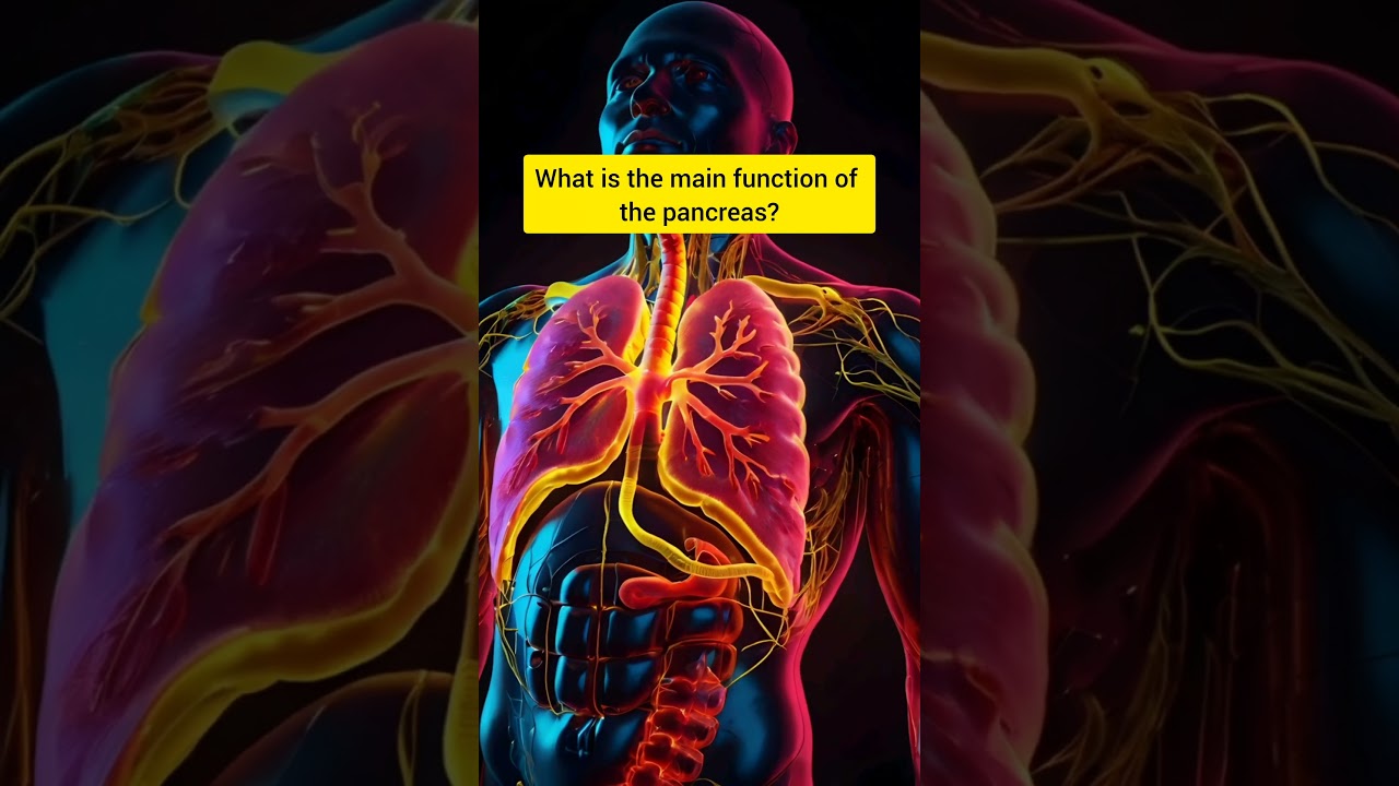 Trivia Quiz for high IQ 