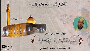 تلاوة من المحراب بصوت محبكم #محمد_الميشاني #جامع_سور_قطيط