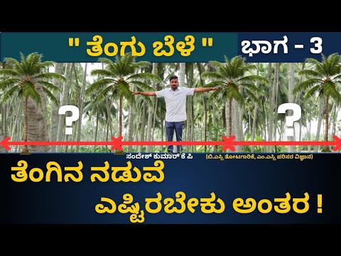 Coconut crop: Spacing between Coconut Trees
