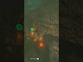 Fire-Roasted Chuchus! #thelegendofzeldabreathofthewild #botw #gaming #switch2