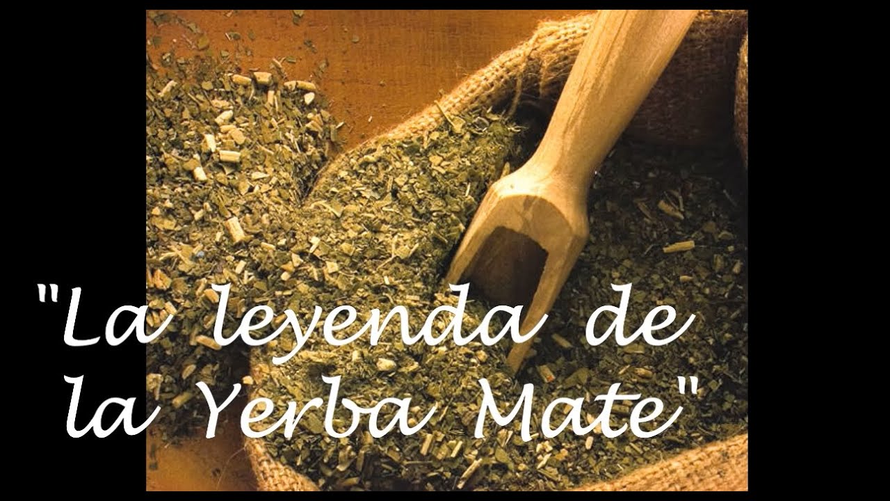 N° 9 - La leyenda de la Yerba Mate 