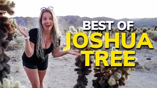 TOP 10 THINGS TO DO IN JOSHUA TREE 🌵#AirstreamLife