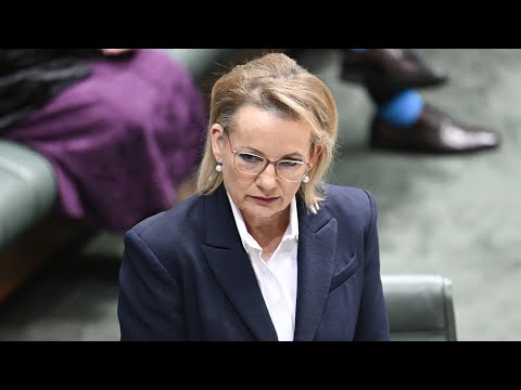 ‘The Liberals are in the wrong’: Peta Credlin lashes out at the ‘poor judgement’ of Sussan Ley