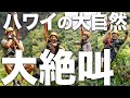 【爽快】ハワイの秘境クアロア・ランチでジップラインに挑戦！まこと先生のおすすめドライブインで朝食も🥞