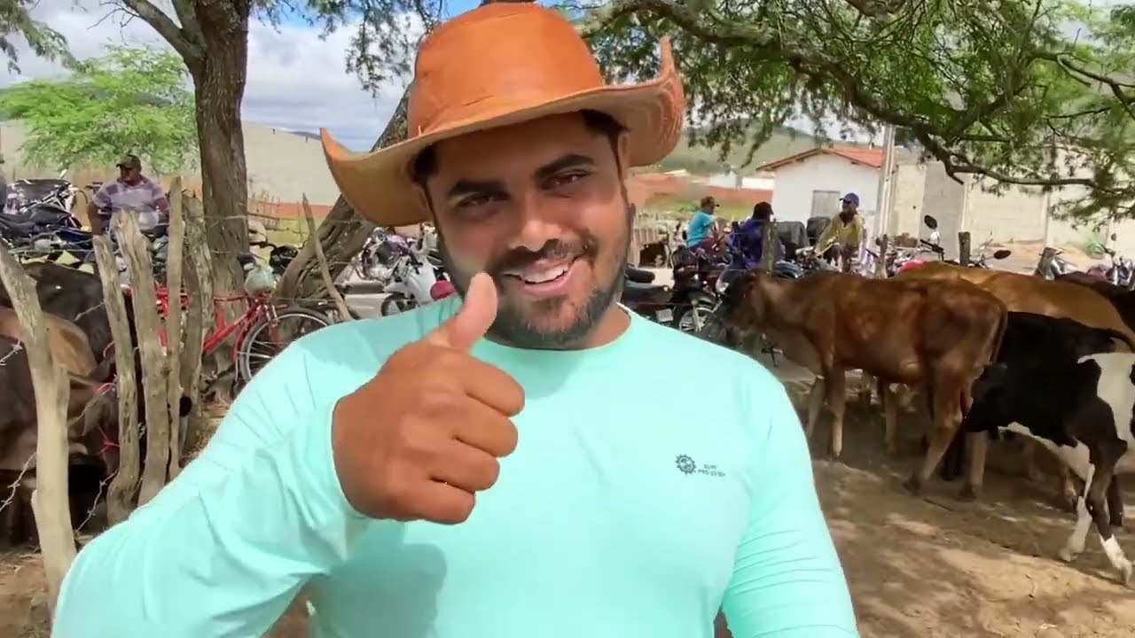 Feira de gado em São José da Tapera - AL 21 - 10 - 2023 #nordeste