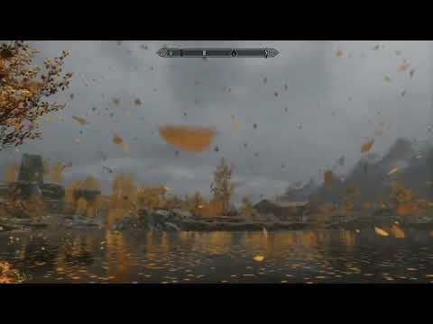 Community Shaders Physical Particle System Look AMAZING And Run So Smooth!!!