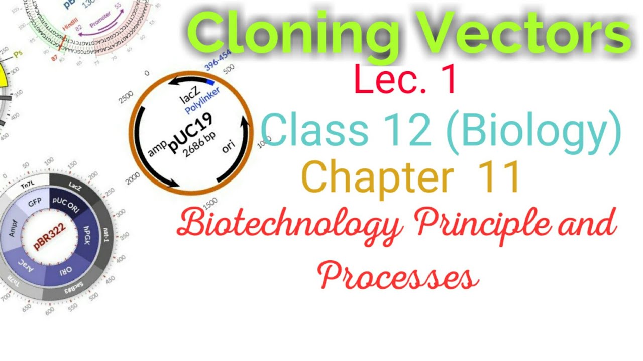 Cloning Vectors-an overview; commonly used cloning vectors: Biology
