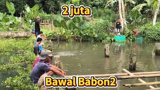 JHOSS❗BAWALNYA BANYAK YG BABON2 TAPI BANYAK YG PUTUS ❗LETONG