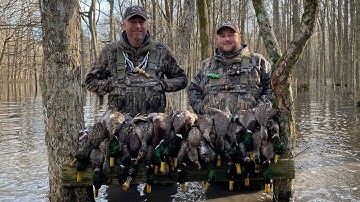 Full Limits On A Cloudy Day | Windy Morning Mallards In The Timber | Into The Woods w/ Rusty Creasey