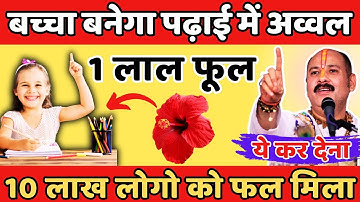 बच्चा बनेगा पढ़ाई में अव्वल 1 लाल फूल से ये कर देना 10 लाख लोगो को फल मिला | Pradeep mishra ji