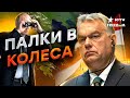 Орбан что-то МУТИТ, а Путин хочет НА…