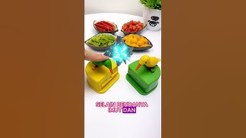 Imut sekali tempat simpan tusuk gigi ini #alatunik #unik #dapur #alatunikbermanfaat #shorts