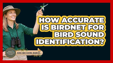 How Accurate Is BirdNET For Bird Sound Identification? - Bird Watching Diaries
