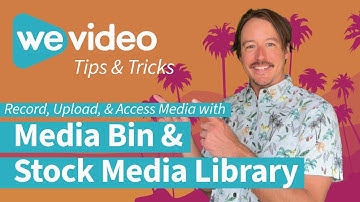 Media Bin and Stock Media Library