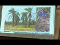 Cara pengendalian penyakit busuk pupus pada kelapa sawit agungppl