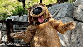 Talking Dug | Disney California Adventure | Pixar Fest 2024 4K